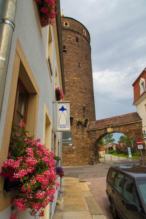 Hotel Blaue Blume Freiberg Buitenkant foto